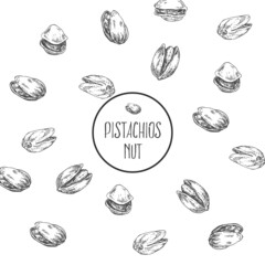 Hand drawn vector pistachios nut cores, shell