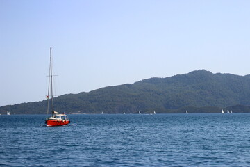 Fototapeta na wymiar sailing boat in the sea