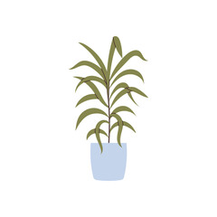 Hand drawn home plant element for your design