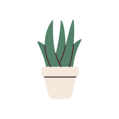 Hand drawn home plant element for your design