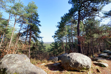 Fototapeta na wymiar Hill of the Apremont gorges in Fontainebleau forest