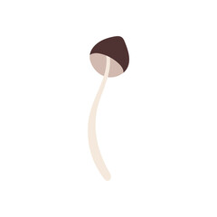 Hand drawn mushroom element for your design