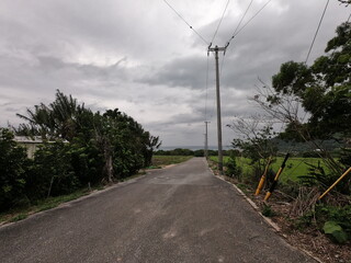 Fototapeta na wymiar 石垣島の農道、沖縄