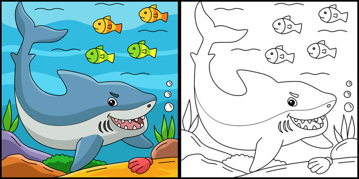 Great White Shark Coloring Colored Illustration