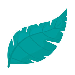 turquoise leaf icon