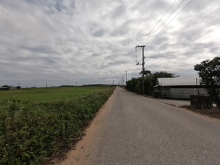 Fototapeta na wymiar 石垣島の農道、沖縄