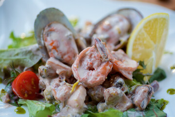Seafood salad with white sauce. A dish from a chef in a restaurant.
