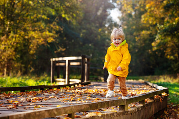 Happy toddler run in autumn park wear yellow coat © Sergey Novikov