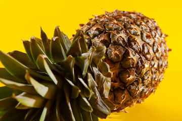 Beautiful fresh pineapple isolated on yellow background. Summer seasonal fruit design idea pattern concept. Copy space, close up