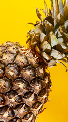 Beautiful fresh pineapple isolated on yellow background. Summer seasonal fruit design idea pattern concept. Copy space, close up
