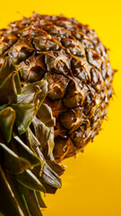 Beautiful fresh pineapple isolated on yellow background. Summer seasonal fruit design idea pattern concept. Copy space, close up
