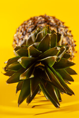Beautiful fresh pineapple isolated on yellow background. Summer seasonal fruit design idea pattern concept. Copy space, close up