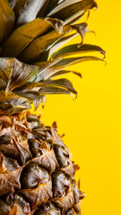 Beautiful fresh pineapple isolated on yellow background. Summer seasonal fruit design idea pattern concept. Copy space, close up