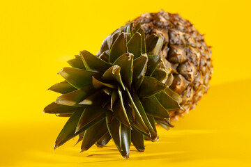 Beautiful fresh pineapple isolated on yellow background. Summer seasonal fruit design idea pattern concept. Copy space, close up