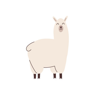 Hand drawn llama element for your design