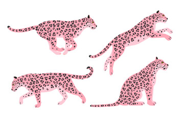 Vector set of flat pink leopard isolated on white background