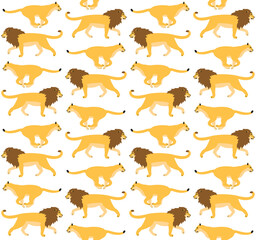 Vector seamless pattern of flat lion and lioness isolated on white background