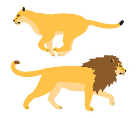 Vector flat lion and lioness isolated on white background