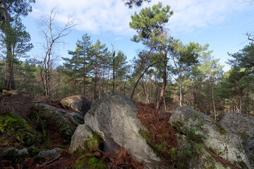 Denecourt hiking path 6 in the Apremont gorges. Fontainebleau forest