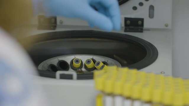 Close up of medical assistant's hands putting test tubes samples in a blood centrifuge machine