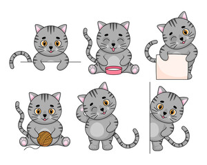 Set of cute gray cats for design. Vector illustration isolated on white background. 