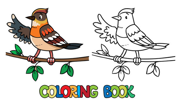 Funny little bird. Farm animals coloring book
