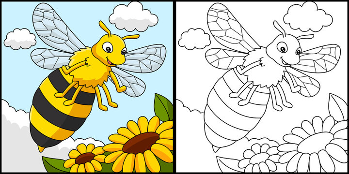 Bee Coloring Page Colored Illustration