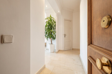 Entrance to a residential house with a wooden door and brass fittings and a large plant in the background