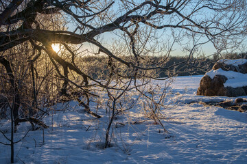 Russia, cold spring morning, frost on the trees.