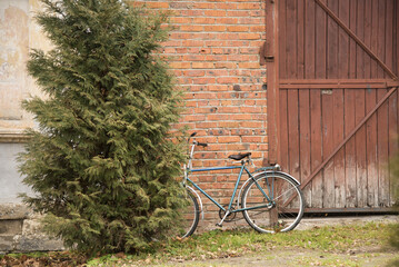 An old bicycle stands against a brick wall on the green grass. - Powered by Adobe