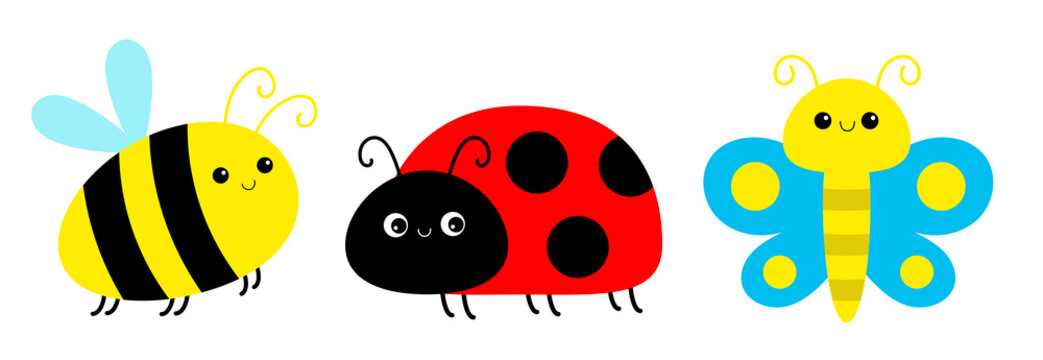 Ladybug in Grass, Sublimation, Lady Bug PNG, Insect Clipart