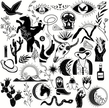 Wild west collection. Black and white illustration. Wild horse, cowboy, buffalo skull, cactus, snake, hat, cowboy boot, wilderness, leaf, fire. Old west. Vector illustration.