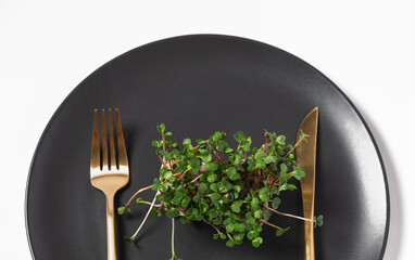 radish microgreens on a dark plate. healthy food, healthy eating.