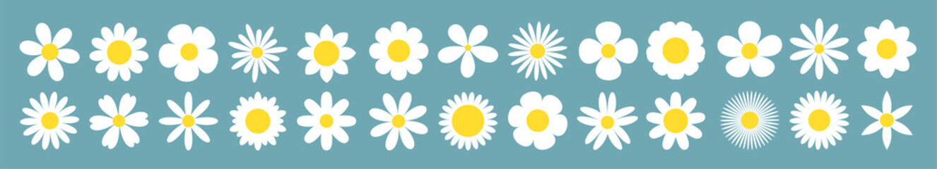 Daisy Camomile super big line set. White chamomile icon. Growing concept. Cute round flower plant collection. Love card symbol. Flat design. Isolated. Blue background.