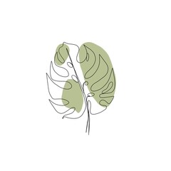 exotic leaf monstera line art. Minimalistic line drawing. leaf line art. Botanical drawing illustration by hand.