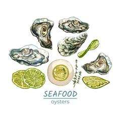 310_oyster_set of oysters, oil, sauce, thyme, lime, lemon, detailed natural drawing of fresh seafood