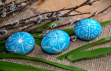 classic blue eggs with feathers on gray background with copy space for text