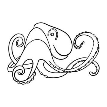 Underwater octopus cuttlefish, squid, devil . Beautiful drawings with patterns. For anti stress for adults and children coloring, emblems or tattoos