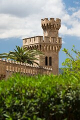 Old fortifications, castle tower, in the foreground with palm trees. Blue sky. Beautiful sunny day. Historic fortifications. Spanish style.