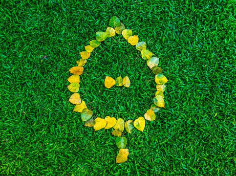 The arranged dry leaves of the bothi tree or pipal tree in the shape of heart on a blur background of green grass