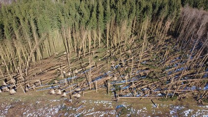 Sturmschäden, Luftbild