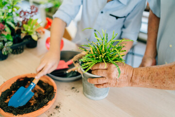 Close up Asian retired grandfather hands take care of the plants by scooping the soil in preparation for planting trees with grandchildren. Retirement activities.