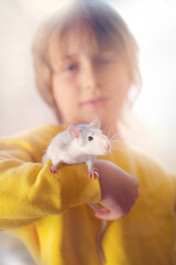 Junge mit Ratte als Haustier