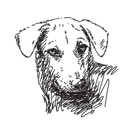 Sketch of dog portrait Hand drawn vector illustration