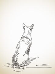 Sketch of sitting dog from back. Hand drawn illustration. Isolated