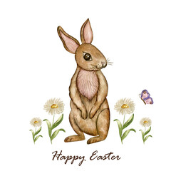Easter holiday composition with bunny, chamomile meadow . Cute animals for children shop logo , postcard and packing design. Hand draw watercolor rabbit illustation	