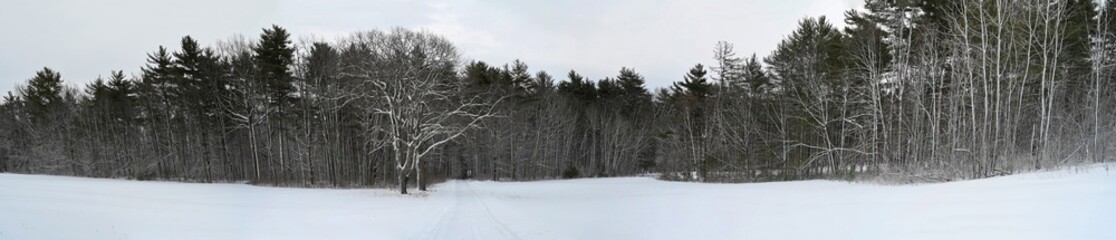 Panoramic scenic view of a field in winter in the Adirondacks
