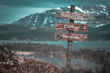 removing carbon dioxide text quote engraved on wooden signpost outdoors in landscape looking...