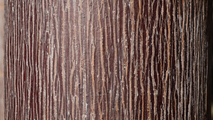 The stripes of the palm family tree are brown with streaks.