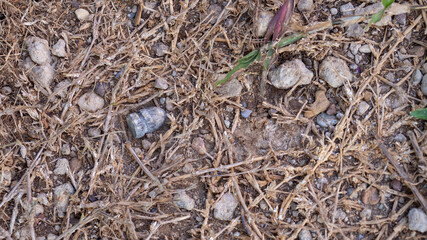 Old and rusty lead bullets on fine ground.